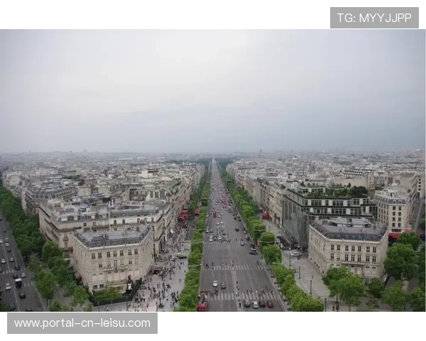 德国北部球迷组织除雪行动，保障客场观赛安全